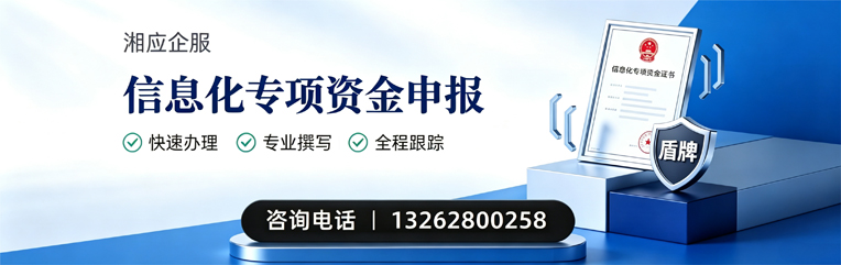 南宁信息化专项资金申报服务
