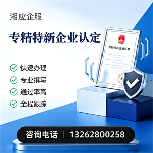 南宁专精特新企业申报服务