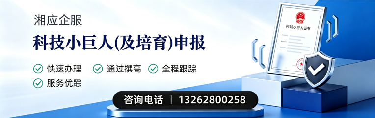 南宁科技小巨人及培育企业申报服务