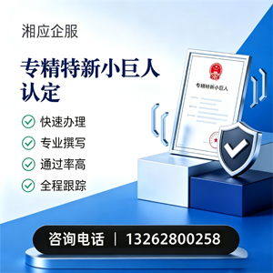南宁专精特新小巨人申报服务