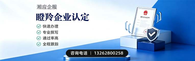 南宁瞪羚企业认定申报服务