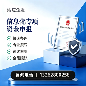 南宁信息化专项资金申报服务
