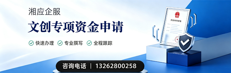 南宁文创专项资金申报服务
