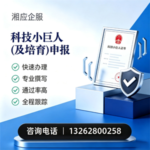 南宁科技小巨人及培育企业申报服务