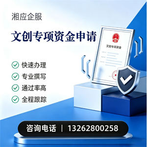 南宁文创专项资金申报服务