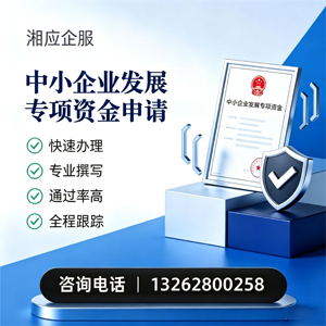 南宁中小企业发展专项资金申报服务