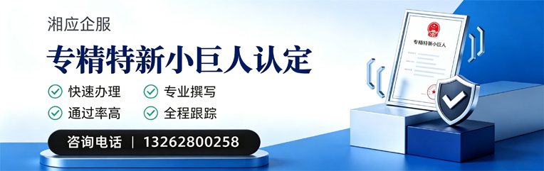 南宁专精特新小巨人申报服务